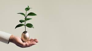 The Changing Role of the Investor Relations Officer